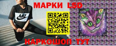 индика Рыбинск
