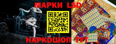 индика Рыбинск