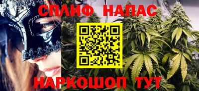 индика Рыбинск