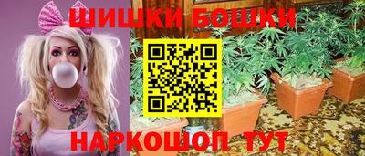 индика Рыбинск