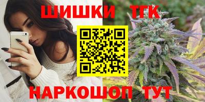 индика Рыбинск